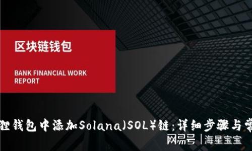 如何在小狐狸钱包中添加Solana（SOL）链：详细步骤与常见问题解答