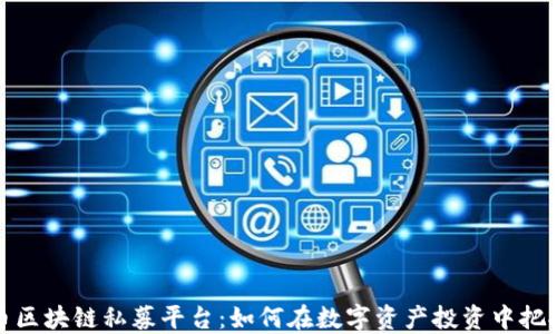 
虚拟币区块链私募平台：如何在数字资产投资中把握机遇