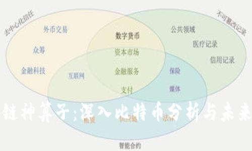 区块链神算子:深入比特币分析与未来趋势