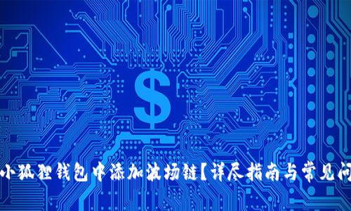 如何在小狐狸钱包中添加波场链？详尽指南与常见问题解答