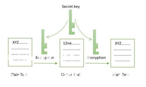 雷达币是区块链数字货币吗
深入了解雷达币:区块链数字货币的未来之路