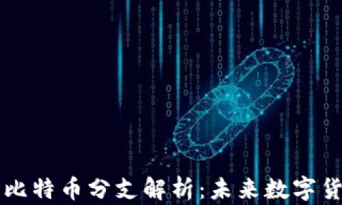 区块链技术与比特币分支解析:未来数字货币的发展方向