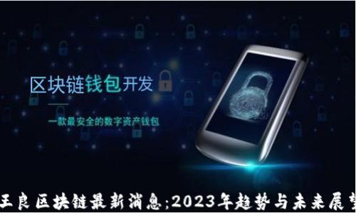 
王良区块链最新消息：2023年趋势与未来展望