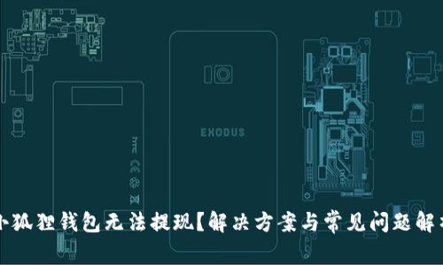 小狐狸钱包无法提现?解决方案与常见问题解析