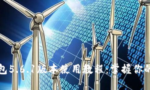 小狐狸钱包5.6.1版本使用教程：掌握你的数字资产