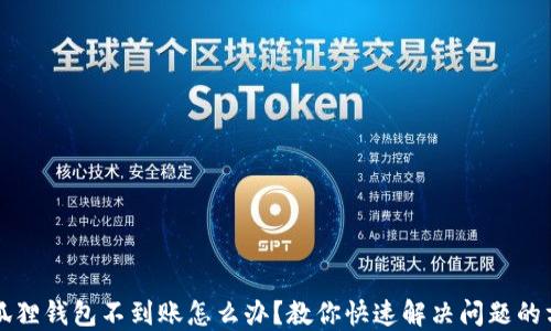 
小狐狸钱包不到账怎么办？教你快速解决问题的方法