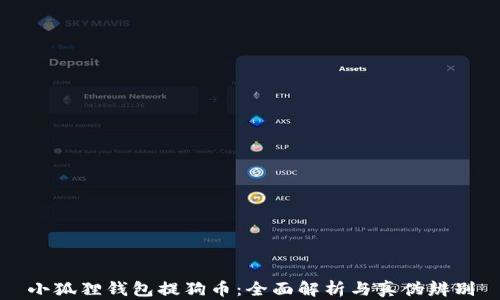 
小狐狸钱包提狗币：全面解析与真伪辨别