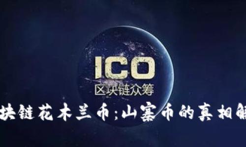 区块链花木兰币：山寨币的真相解析