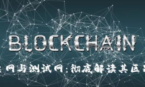 Metamask主网与测试网：彻底解读其区别与应用场景