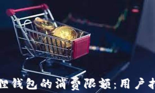 
如何设置小狐狸钱包的消费限额：用户指南与实用技巧