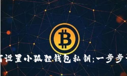如何设置小狐狸钱包私钥：一步步详解