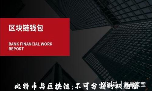 
比特币与区块链：不可分割的双胞胎