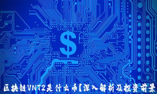 
区块链VNT2是什么币？深入解析及投资前景
