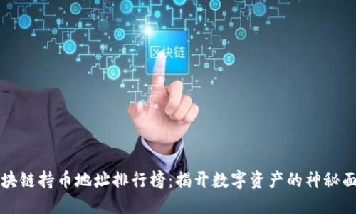区块链持币地址排行榜：揭开数字资产的神秘面纱