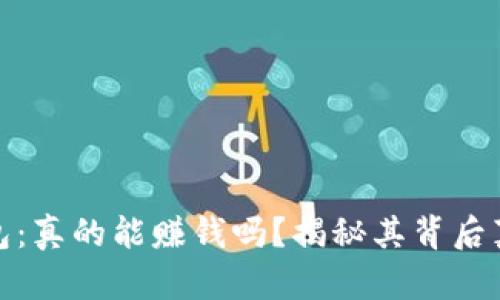 小狐狸钱包：真的能赚钱吗？揭秘其背后真相与风险