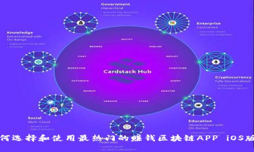如何选择和使用最热门的赚钱区块链APP iOS版本