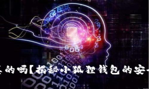 小狐狸钱包是真的吗？揭秘小狐狸钱包的安全性与使用体验