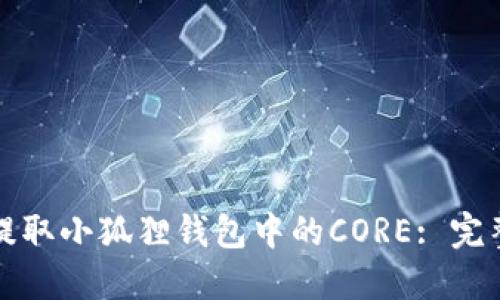 如何提取小狐狸钱包中的CORE: 完整教程