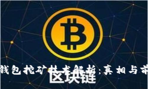 小狐狸钱包挖矿技术解析：真相与前景探讨