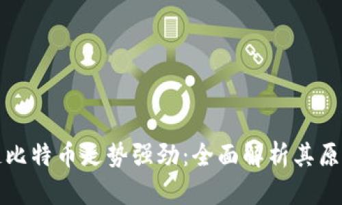 为什么区块链比特币走势强劲：全面解析其原因与未来趋势