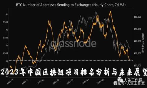2023年中国区块链项目排名分析与未来展望