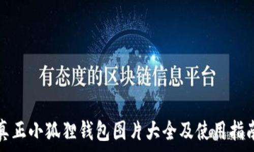   
真正小狐狸钱包图片大全及使用指南