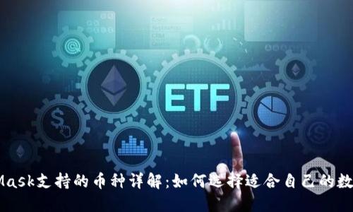 MetaMask支持的币种详解：如何选择适合自己的数字资产