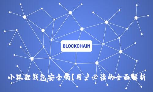 小狐狸钱包安全吗？用户必读的全面解析