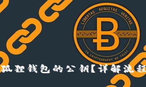 如何查看小狐狸钱包的公钥？详解流程与注意事项