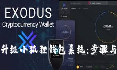 如何高效升级小狐狸钱包系统:步骤与注意事项