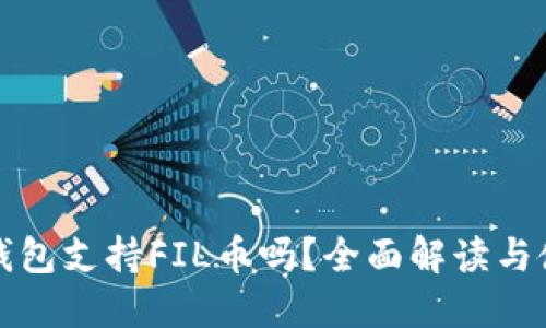 小狐狸钱包支持FIL币吗？全面解读与使用指南