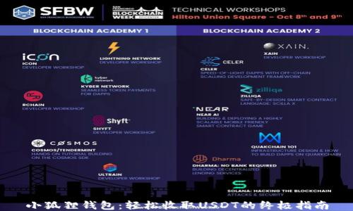 小狐狸钱包:轻松收取USDT的终极指南