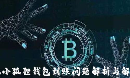 中本聪小狐狸钱包到账问题解析与解决方案