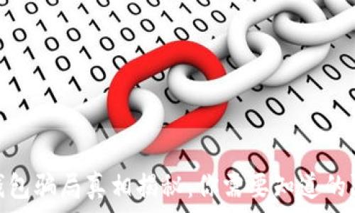 小狐狸钱包骗局真相揭秘:你需要知道的防骗措施